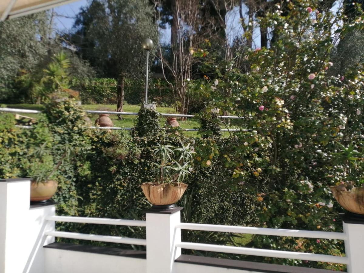 דירות זואליי Agave מראה חיצוני תמונה